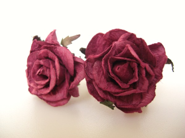  burgundy curly wild roses