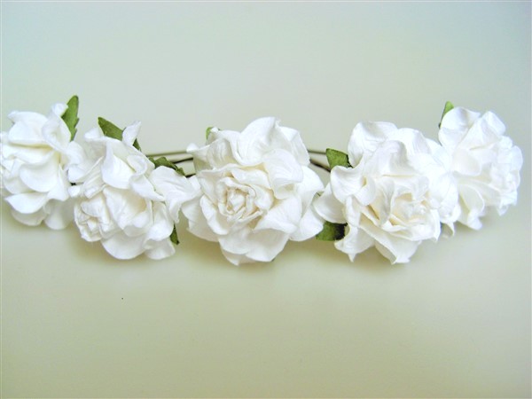 ivory white tuscan roses