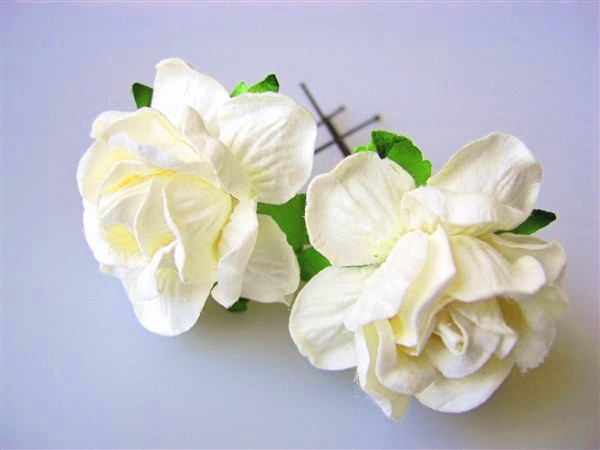 large cream cottage rose hair flowers