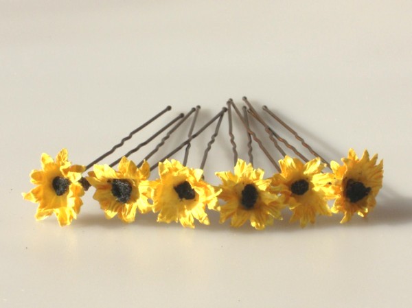 yellow sun daisies
