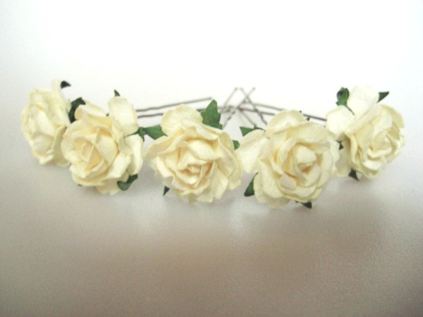 cream cottage roses x 5