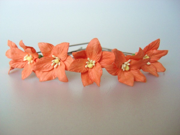 orange lily hair flowers